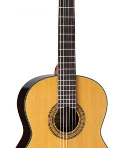 PRO MUSIC Takamine Pro Series Full Size Classical Guitar