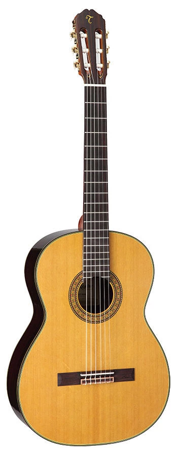 PRO MUSIC Takamine Pro Series Full Size Classical Guitar 1 PRO MUSIC Takamine Pro Series Full Size Classical Guitar