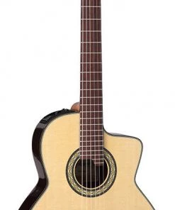 PRO MUSIC Takamine Pro Series AC/EL Full Size Classical Guitar With Cutaway