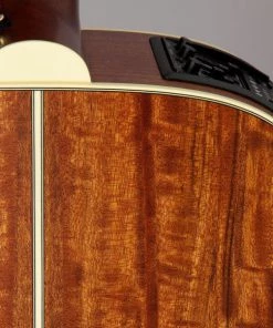 PRO MUSIC Takamine Custom Pro Series 3 NEX AC/EL Guitar With Cutaway