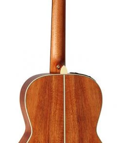 PRO MUSIC Takamine Custom Pro Series 3 New Yorker AC/EL Guitar