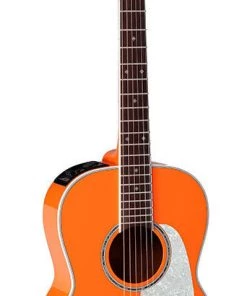 PRO MUSIC Takamine Custom Pro Series 3 New Yorker AC/EL Guitar