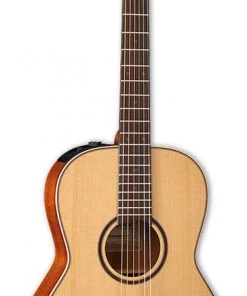 PRO MUSIC Takamine Custom Pro Series 3 New Yorker AC/EL Guitar