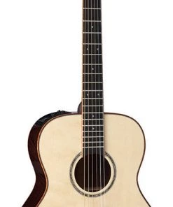 PRO MUSIC Takamine Custom Pro 5 Series Orchestral AC/EL Guitar