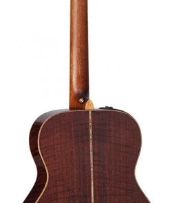 PRO MUSIC Takamine Custom Pro 5 Series Orchestral AC/EL Guitar