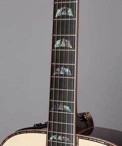 PRO MUSIC Takamine Custom Pro 7 Series Dreadnought AC/EL Guitar