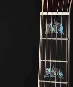 PRO MUSIC Takamine Custom Pro 7 Series Dreadnought AC/EL Guitar