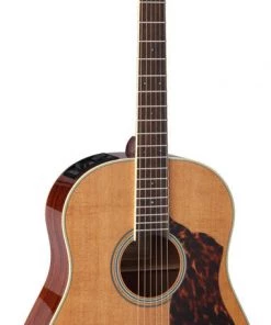 PRO MUSIC Takamine Thermal Top Series Round Shoulder AC/EL Guitar