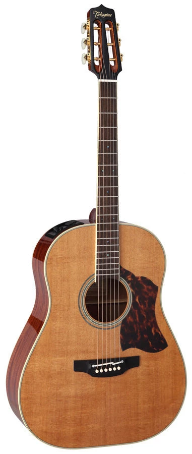 PRO MUSIC Takamine Thermal Top Series Round Shoulder AC/EL Guitar 1 PRO MUSIC Takamine Thermal Top Series Round Shoulder AC/EL Guitar