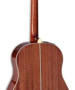 PRO MUSIC Takamine Thermal Top Series Round Shoulder AC/EL Guitar