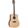 National Tanglewood TDBTDEB Discovery Exotic Dreadnought Ebony