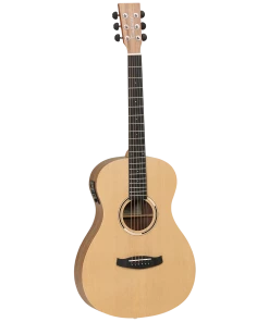 National Steel String Tanglewood TDBTPEHR Discovery Exotic Parlour A/E Hawaiian Rainwood