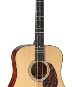 PRO MUSIC Takamine Thermal Top Series Dreadnought AC/EL Guitar