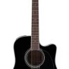 PRO MUSIC Takamine Legacy Series Dreadnought AC/EL Guitar With Cutaway