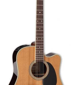 PRO MUSIC Takamine Thermal Top Series Dreadnought AC/EL Guitar With Cutaway