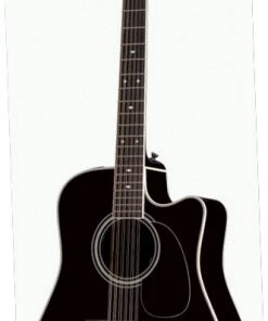 PRO MUSIC Takamine Legacy Series 12 String Dreadnought AC/EL Guitar With Cutaway
