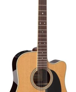 PRO MUSIC Takamine Thermal Top Series 12-String Dreadnought AC/EL Guitar With Cutaway
