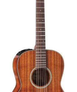 PRO MUSIC Takamine Legacy Series New Yorker AC/EL Guitar