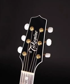 PRO MUSIC Takamine Thermal Top Series NEX AC/EL Guitar With Cutaway 7 PRO MUSIC Takamine Thermal Top Series NEX AC/EL Guitar With Cutaway