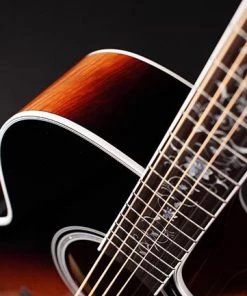 PRO MUSIC Takamine Thermal Top Series NEX AC/EL Guitar With Cutaway 6 PRO MUSIC Takamine Thermal Top Series NEX AC/EL Guitar With Cutaway