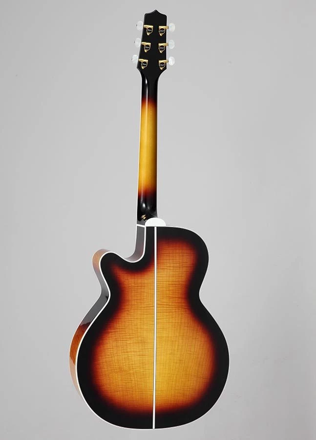 PRO MUSIC Takamine Thermal Top Series NEX AC/EL Guitar With Cutaway 2 PRO MUSIC Takamine Thermal Top Series NEX AC/EL Guitar With Cutaway