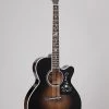 PRO MUSIC Takamine Thermal Top Series NEX AC/EL Guitar With Cutaway