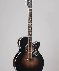 Maxx Music online store 19 PRO MUSIC Takamine Thermal Top Series NEX AC/EL Guitar With Cutaway
