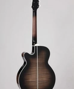 PRO MUSIC Takamine Thermal Top Series NEX AC/EL Guitar With Cutaway