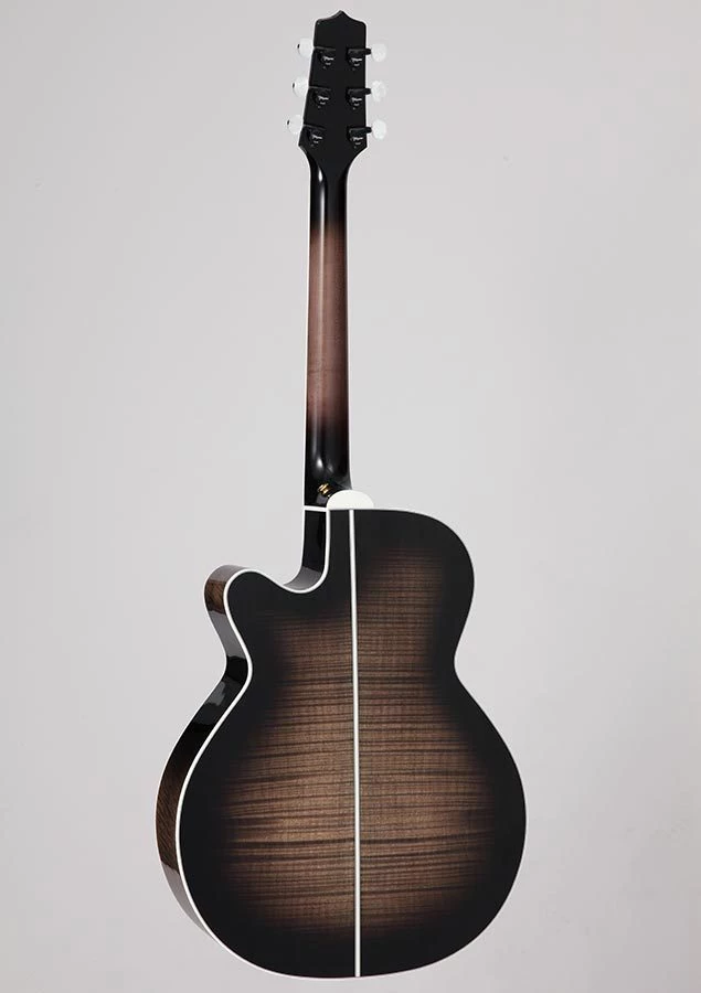PRO MUSIC Takamine Thermal Top Series NEX AC/EL Guitar With Cutaway 2 PRO MUSIC Takamine Thermal Top Series NEX AC/EL Guitar With Cutaway