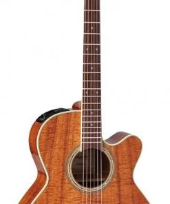 PRO MUSIC Takamine Legacy Series NEX AC/EL Guitar With Cutaway