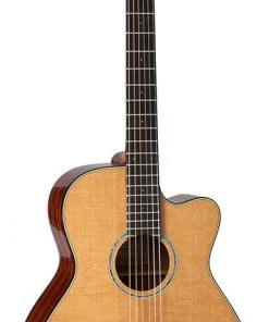 PRO MUSIC Takamine Thermal Top Series Orchestral AC/EL Guitar With Cutaway