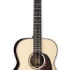 PRO MUSIC Takamine Limited Edition Series Orchestral AC/EL Guitar