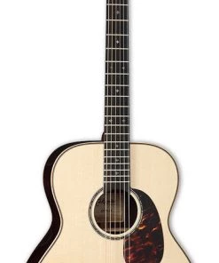 PRO MUSIC Takamine Limited Edition Series Orchestral AC/EL Guitar
