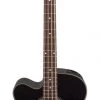 PRO MUSIC Takamine GB30 Series Left Handed AC/EL Bass Guitar With Cutaway