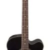 PRO MUSIC Takamine GB30 Series AC/EL Bass Guitar With Cutaway