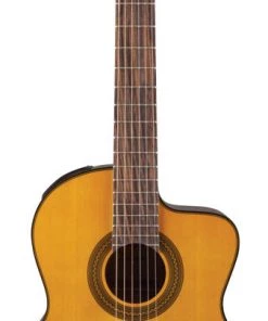 PRO MUSIC Takamine GC1 Series AC/EL Classical Guitar With Cutaway