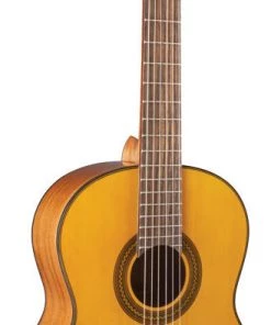 PRO MUSIC Takamine GC1 Series Acoustic Classical Guitar