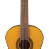 PRO MUSIC Takamine GC1 Series Acoustic Classical Guitar