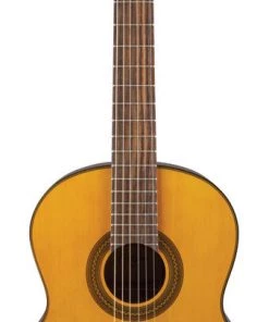 PRO MUSIC Takamine GC1 Series Acoustic Classical Guitar