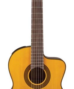 PRO MUSIC Takamine GC3 Series AC/EL Classical Guitar With Cutaway