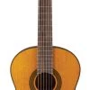 PRO MUSIC Takamine GC3 Series Acoustic Classical Guitar