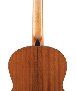 PRO MUSIC Takamine GC3 Series Acoustic Classical Guitar