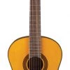 PRO MUSIC Takamine GC5 Series Acoustic Classical Guitar