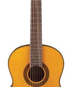 PRO MUSIC Takamine GC5 Series Acoustic Classical Guitar