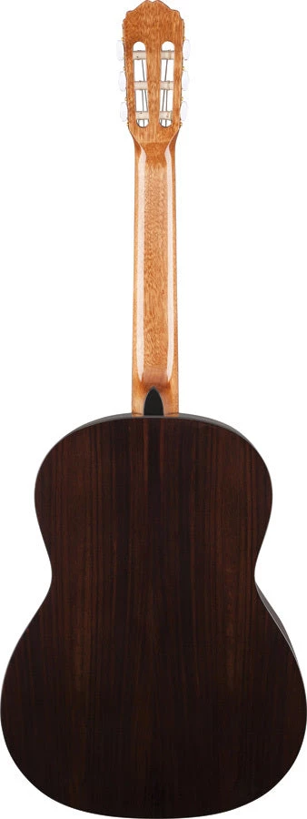 PRO MUSIC Takamine GC5 Series Acoustic Classical Guitar 2 PRO MUSIC Takamine GC5 Series Acoustic Classical Guitar