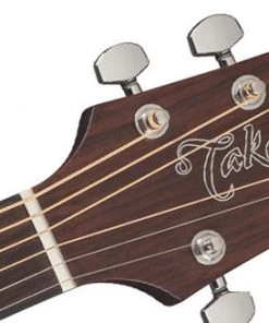 PRO MUSIC Takamine G10 Series Dreadnought AC/EL Guitar With Cutaway