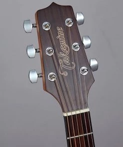 PRO MUSIC Takamine G11 Series Dreadnought AC/EL Guitar With Cutaway