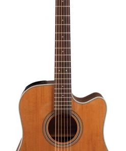 PRO MUSIC Takamine G20 Series Dreadnought AC/EL Guitar With Cutaway