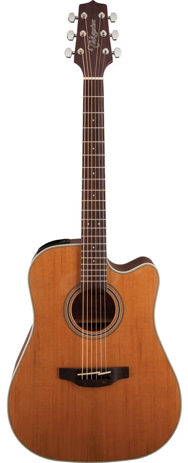 PRO MUSIC Takamine G20 Series Dreadnought AC/EL Guitar With Cutaway 1 PRO MUSIC Takamine G20 Series Dreadnought AC/EL Guitar With Cutaway