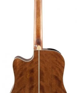 PRO MUSIC Takamine G20 Series Dreadnought AC/EL Guitar With Cutaway